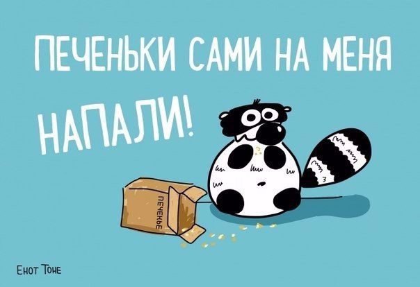 Мудрые советы от енота Тоне