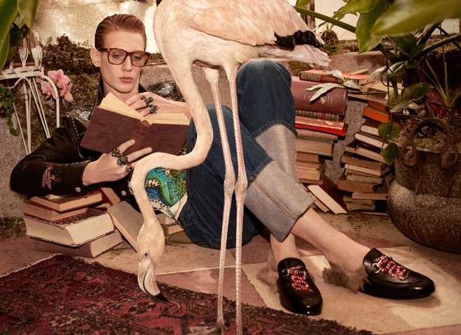 Кампанія Gucci Pre-Fall 2016