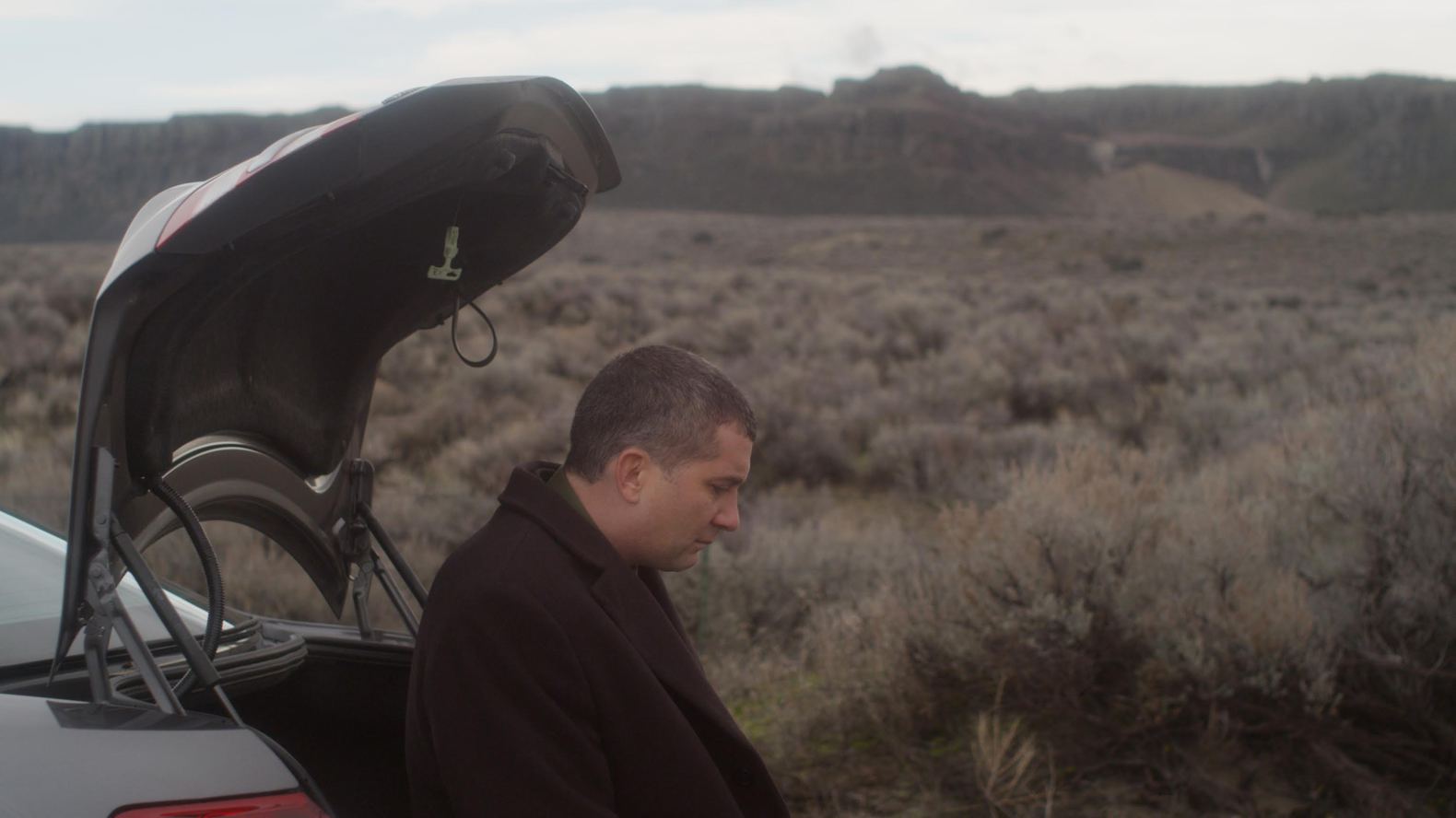 Манхэттенский фестиваль анимация