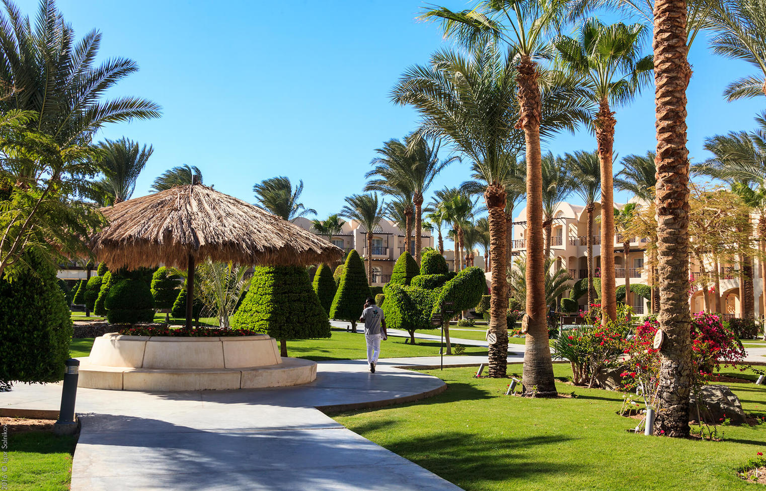 Египет, отель Jaz Makadina