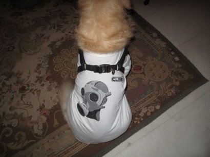 Приколы))