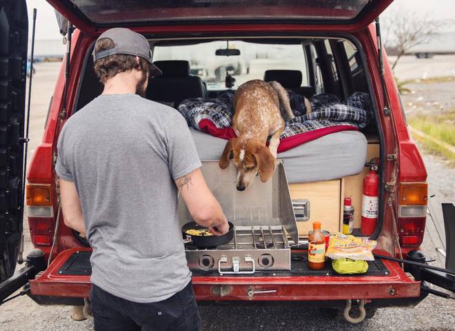 Невероятные приключения собаки-путешественницы Мэдди по Америке