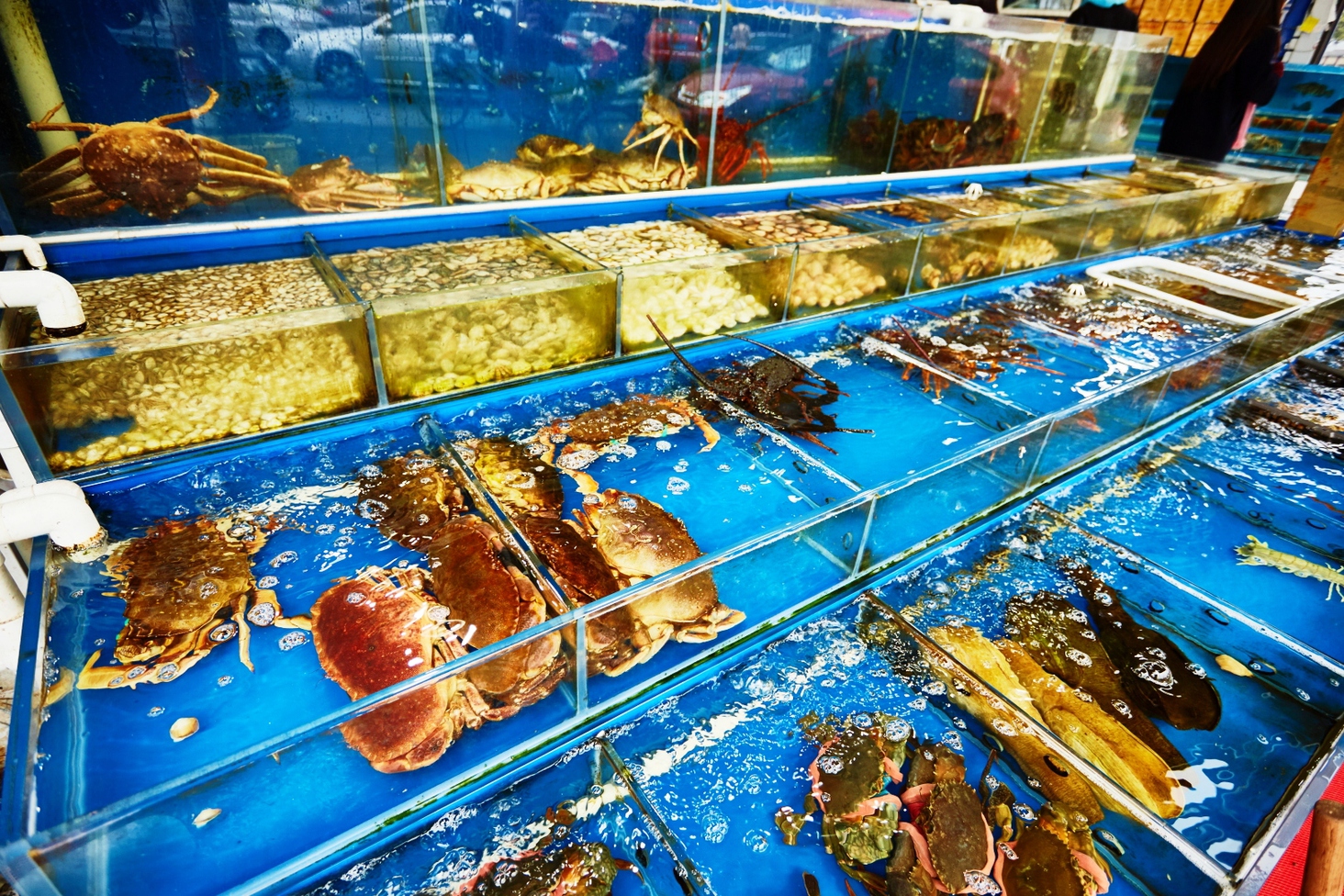 Інший Всесвіт очима популярного фотографа Андрія Саримсакова. Шанхай