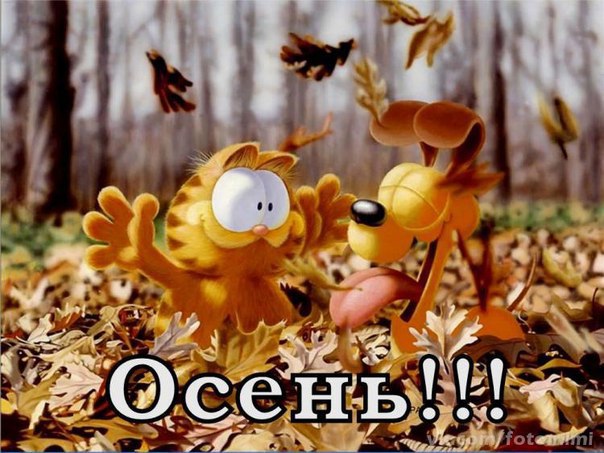 Осень!
