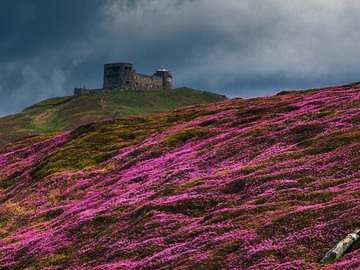 Карпаты село