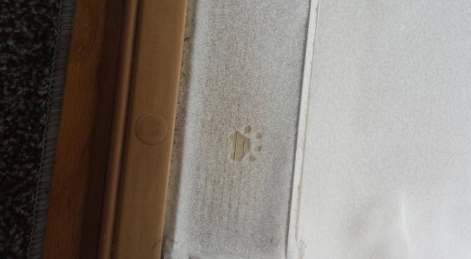 Тем временем в США