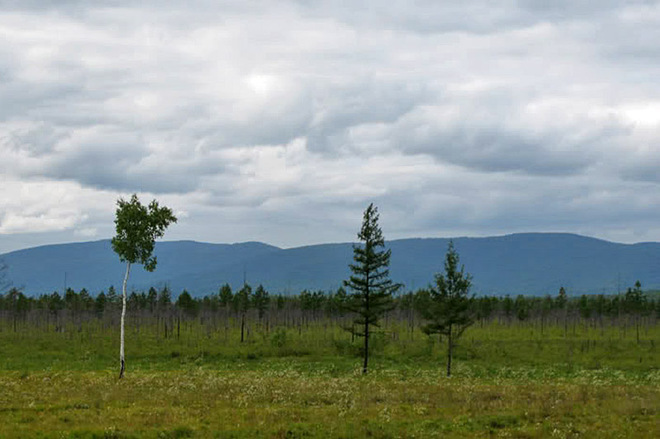 Қолымен жыныс мүшесін мастурбациялаған әйелдің бейнелері
