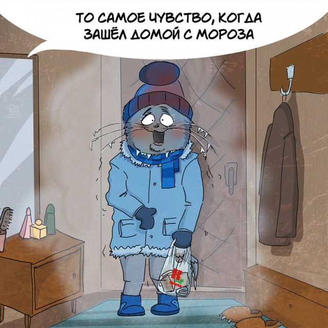 10 причин любить Зиму