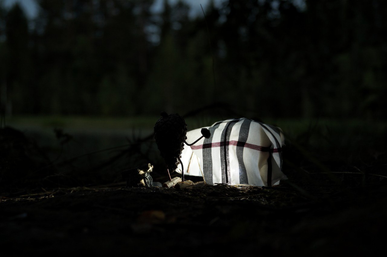 #ПутешествиеСосновойШишки часть 3