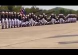 Отличная дрессировка!