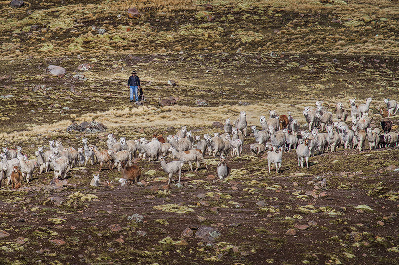 Найкращі тревел-блоги: Our Open Road