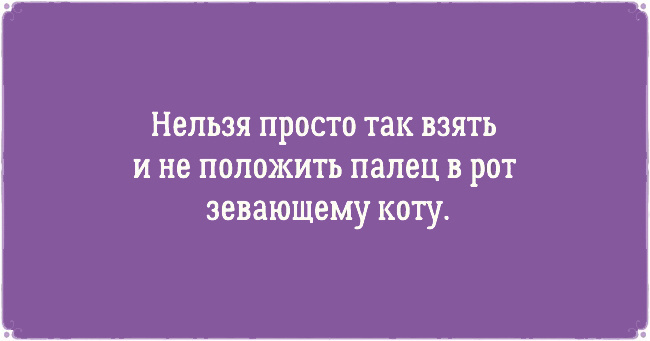 ТОП 10 приколов про котов
