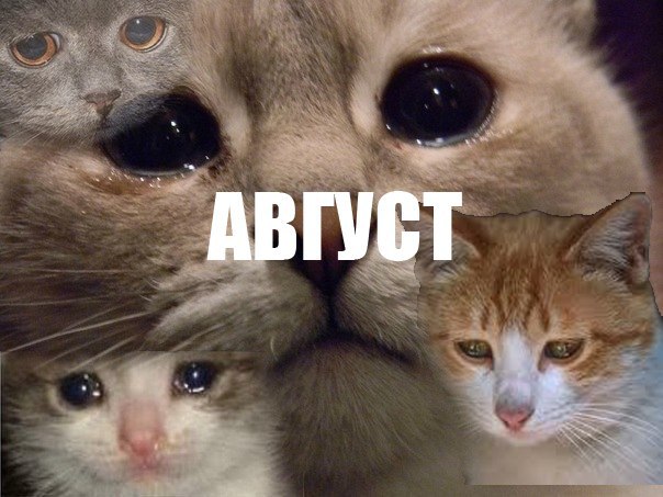 Картинки скоро август прикольные