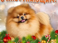 Милые открытки на Новый год собаки