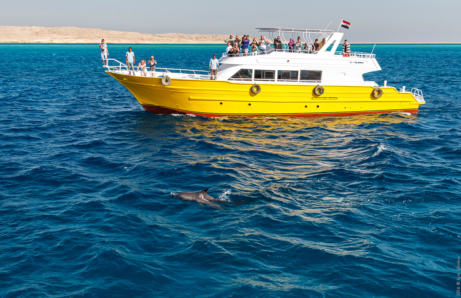 Египет, заповедник Махмея