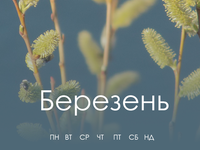 Весенняя пчёлка смартфон: март 2021