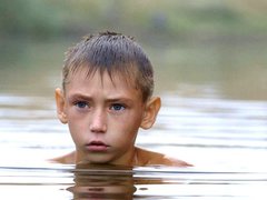 The Distant Barking of Dogs