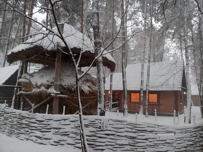 Українське село. Етнокомплекс взимку