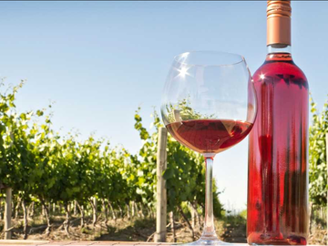 З чим поєднувати рожеві вина