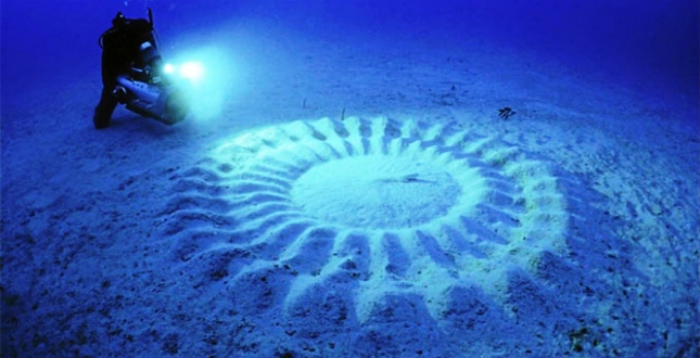 Живі камені, крижане волосся і багато іншого: 15 неймовірних феноменів природи