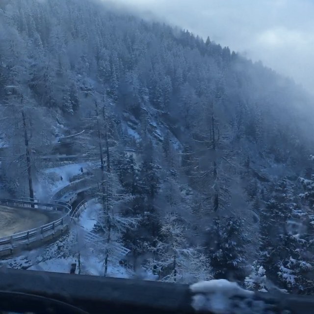 Вікторія Боня