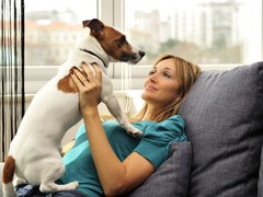 домашние животные