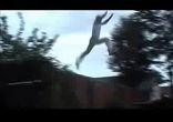 trampoline-jump