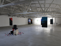 Успей посмотреть: Бесплатное 3d-шоу в центре Киева