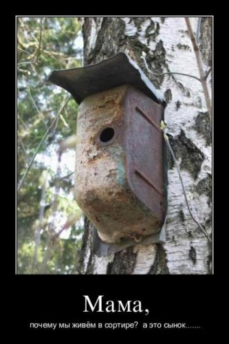 Демотиваторы