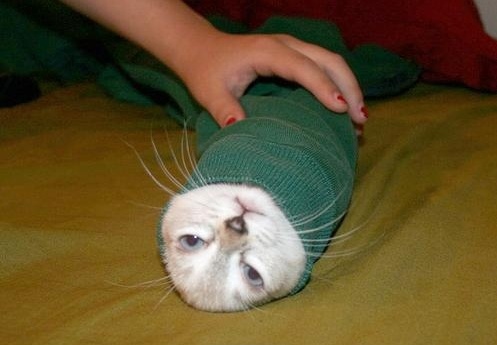 Смишнючие=)