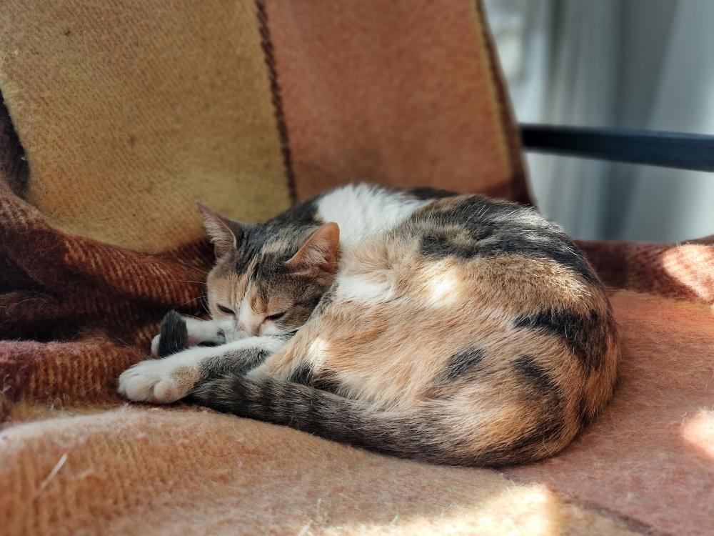 samsung galaxy s22 обзор