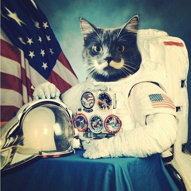 КотикиКотики