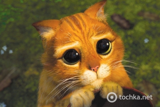 http://s0.tchkcdn.com/g2-CqzPz1QFF4Ln1ZmTgXmr7g/afisha/640x426/f/1/1/0/0/1/1/kinopoisk.ru_shrek_2_644132.jpg