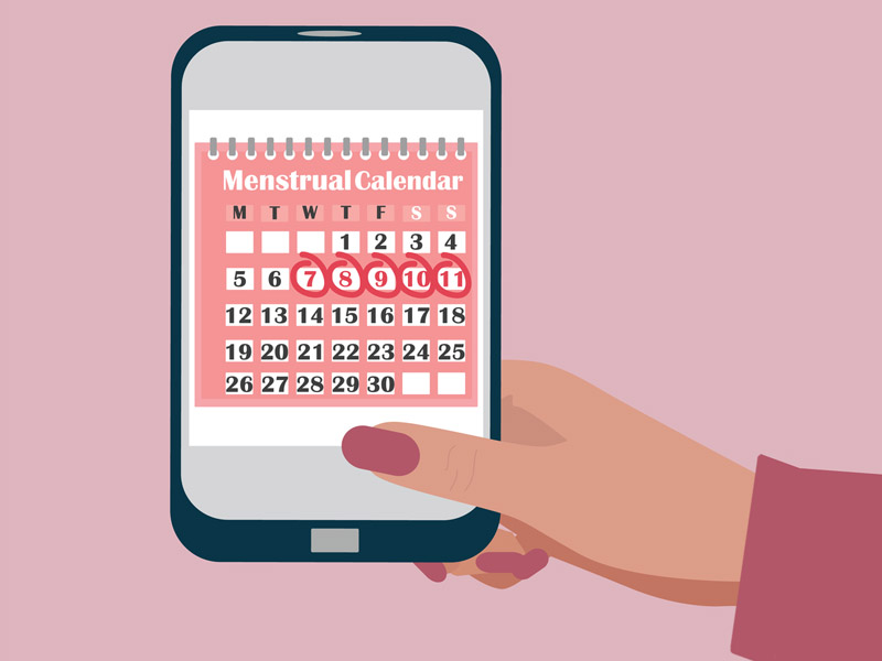 Календарь месячных: как рассчитать менструальный цикл - tochka.net