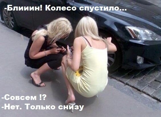 Смешное фото с блондинками на дороге