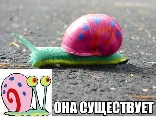 Нереальная улитка реально существует