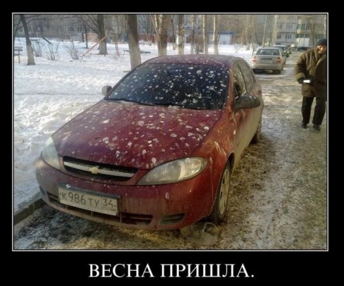 Веселые демотиваторы