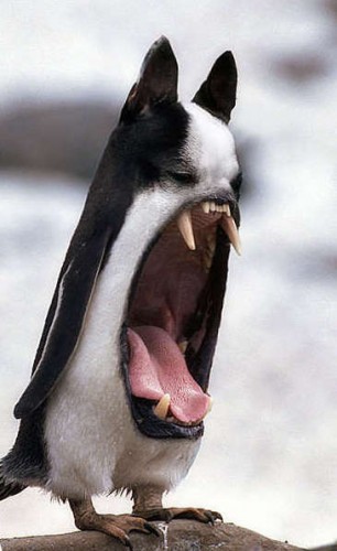 Подборка аватарок