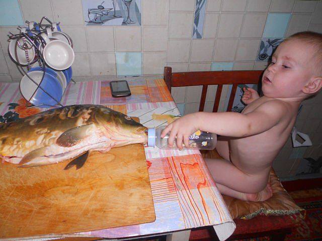 Малыш уже видел в жизни сушняк