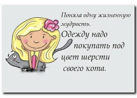 Прикольная картинка про одежду и котов