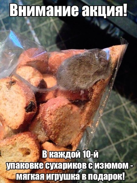 Ты выиграли ДЖЕКПОТ! Печеньки с мясом получите в подарок