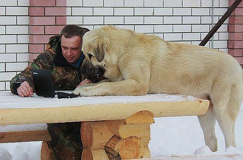 Смотри, у меня уже 100 лайков!