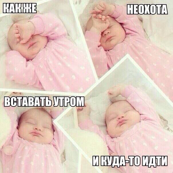 Мимимишная картинка про утро