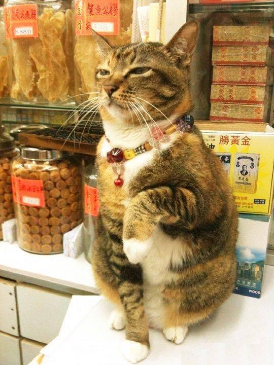 Целуй руку и иди