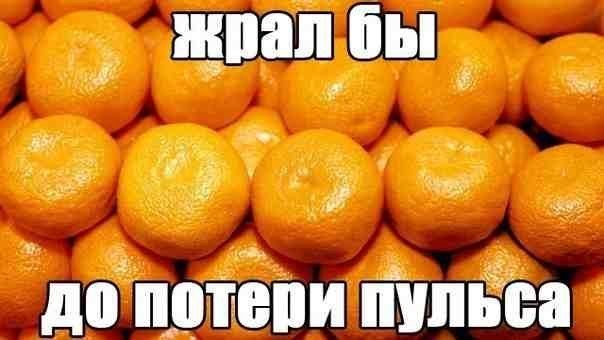 Мандаринки, я вас жду