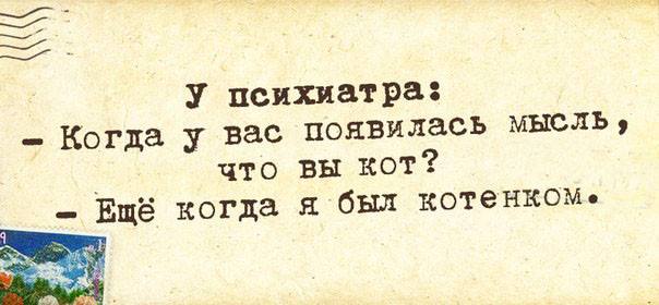 Прикол про психиатра и кота