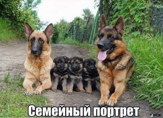 Идеальный семейный снимок
