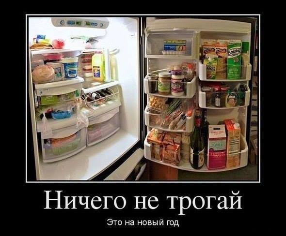 Во всех холодильниках страны