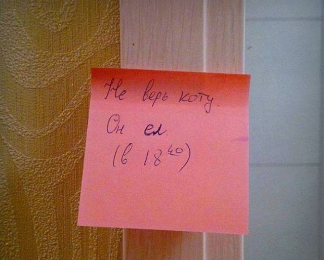 Не верь коту! Он ел