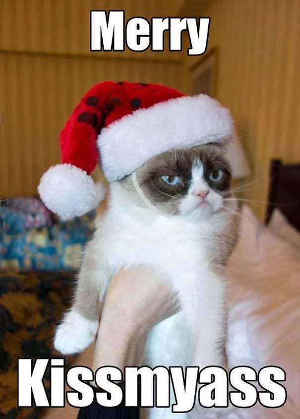 Счастливого Рождества от Grumpy Cat